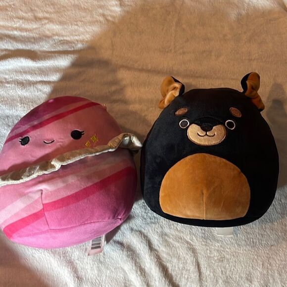 Squishmallows Other - SquishMallows bundle 